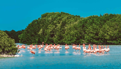 Actividades de lujo en Mérida para este verano