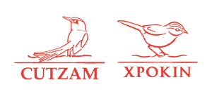 Cutzam and Xpokin, Inmobilia project de Real estate premium