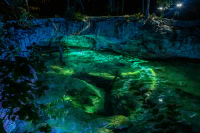 Cenotes in Tulum