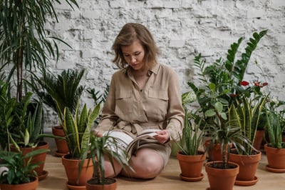 Mejora tu calidad de vida gracias al poder de las plantas. Te compartimos los beneficios de tener un jardín en tu departamento para disfrute de toda la familia y bienestar:
